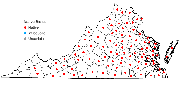 Locations ofThelypteris palustris Schott var. pubescens (Lawson) Fern. in Virginia
