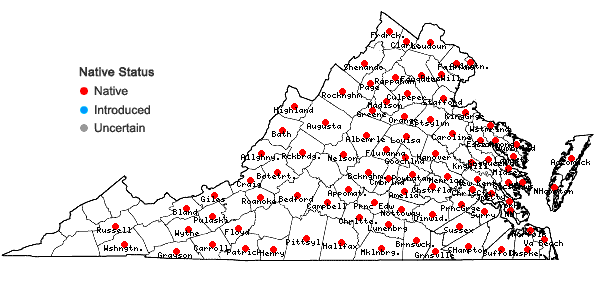 Locations ofThelypteris palustris Schott var. pubescens (Lawson) Fern. in Virginia