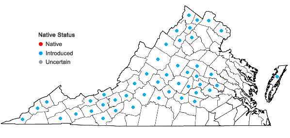 Locations ofThlaspi alliaceum L. in Virginia