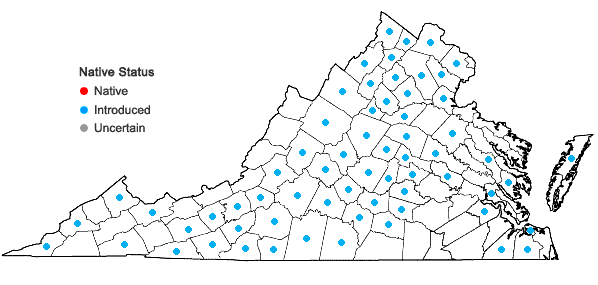 Locations ofThlaspi arvense Linnaeus in Virginia