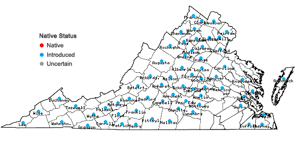 Locations ofThlaspi arvense Linnaeus in Virginia