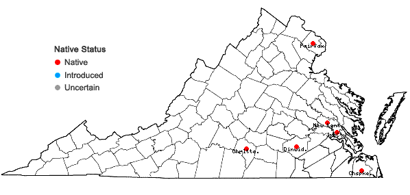 Locations ofThuidium alleniorum Austin in Virginia