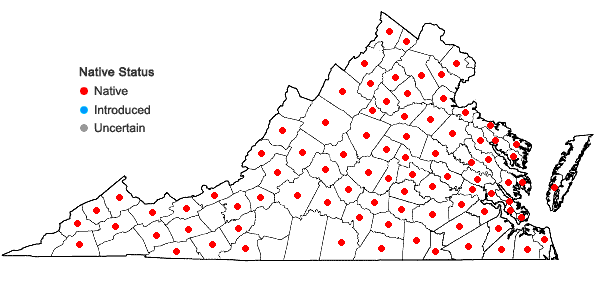 Locations ofThuidium delicatulum (Hedw.) Schimp. in Virginia