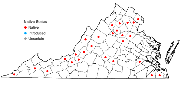 Locations ofThuidium recognitum (Hedw.) Lindb. in Virginia