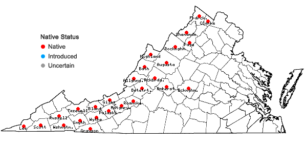 Locations ofThuja occidentalis L. in Virginia