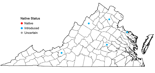 Locations ofThymus pulegioides L. in Virginia