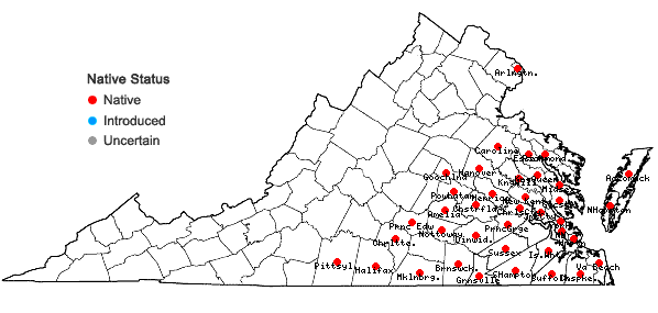 Locations ofThyrsanthella difformis (Walter) Pichon in Virginia