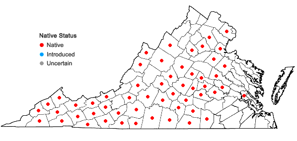 Locations ofTiarella cordifolia L. in Virginia