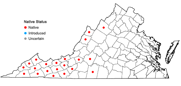 Locations ofTiarella cordifolia L. var. cordifolia in Virginia