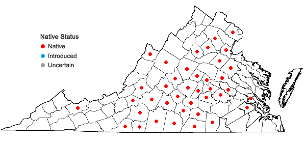 Locations ofTiarella cordifolia L. in Virginia