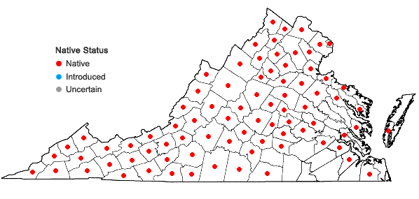 Locations ofTilia americana L. in Virginia