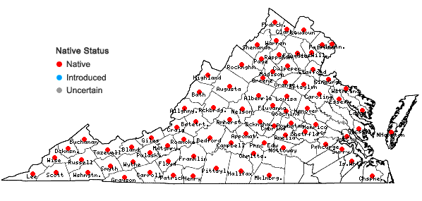 Locations ofTilia americana L. in Virginia