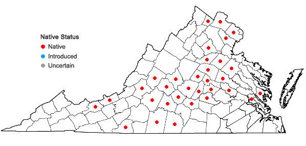 Locations ofTilia americana L. var. americana in Virginia