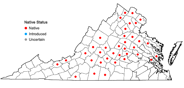 Locations ofTilia americana L. var. americana in Virginia