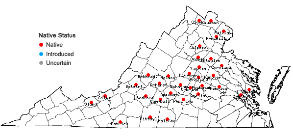 Locations ofTilia americana L. var. americana in Virginia