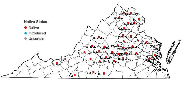 Locations ofTilia americana L. var. americana in Virginia