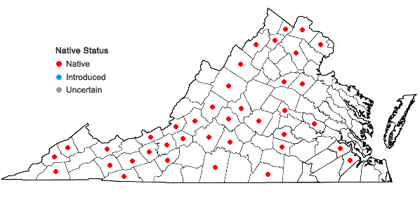 Locations ofTilia americana L. var. heterophylla (Vent.) Loud. in Virginia