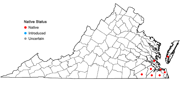 Locations ofTillandsia usneoides (L.) L. in Virginia