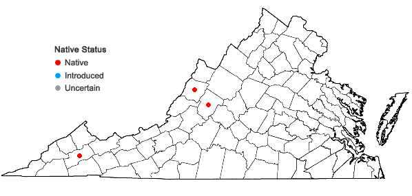 Locations ofTimmia megapolitana Hedw. ssp. megapolitana in Virginia