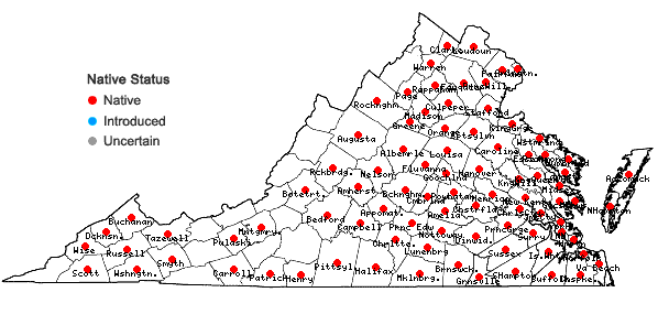 Locations ofTipularia discolor (Pursh) Nutt in Virginia