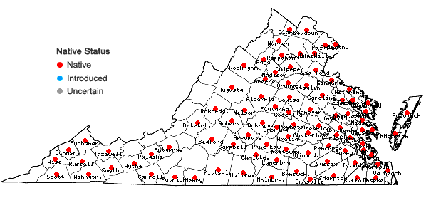 Locations ofTipularia discolor (Pursh) Nutt. in Virginia