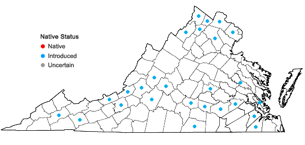 Locations ofTorilis arvensis (Huds.) Link ssp. recta Jury in Virginia