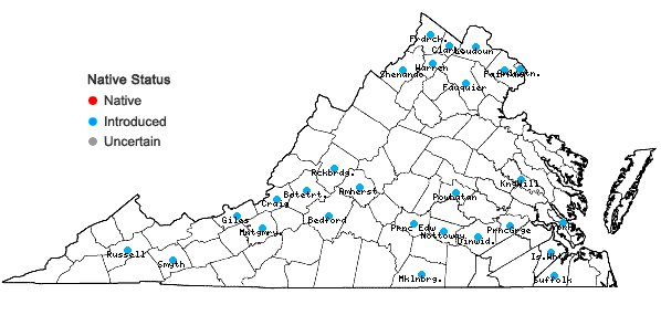 Locations ofTorilis arvensis (Huds.) Link ssp. recta Jury in Virginia