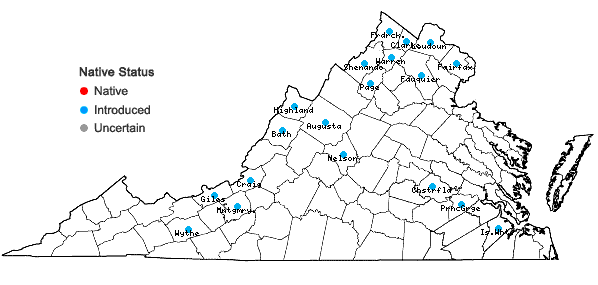 Locations ofTorilis japonica (Houtt.) DC. in Virginia