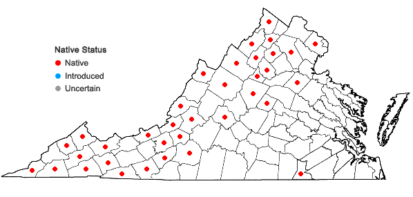 Locations ofTorrentaria riparioides (Hedw.) Ochyra in Virginia