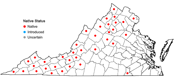 Locations ofTorrentaria riparioides (Hedw.) Ochyra in Virginia
