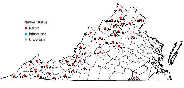 Locations ofTorrentaria riparioides (Hedw.) Ochyra in Virginia