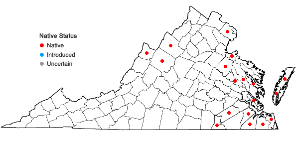 Locations ofTorreyochloa pallida (Torr.) Church var. pallida in Virginia