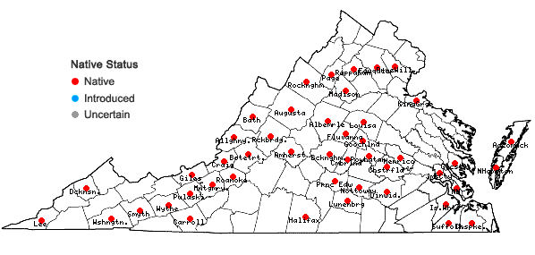 Locations ofTortella humilis (Hedw.) Jenn. in Virginia