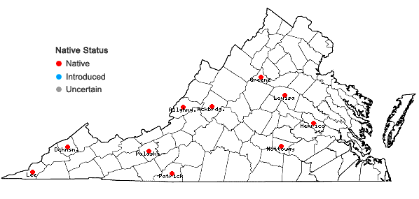 Locations ofTortella tortuosa (Hedw.) Limpr. var. tortuosa in Virginia