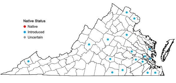 Locations ofTortula muralis Hedwig in Virginia