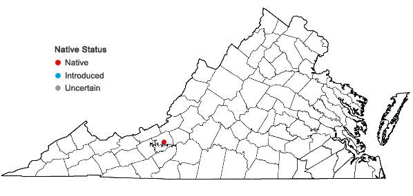 Locations ofTortula truncata (Hedw.) Mitt. in Virginia