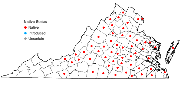 Locations ofToxicodendron pubescens P.Miller in Virginia