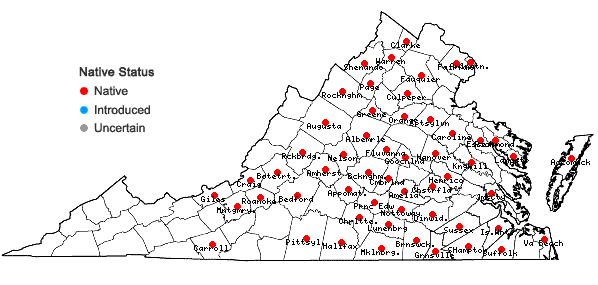 Locations ofToxicodendron pubescens P.Miller in Virginia