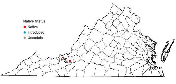 Locations ofToxicodendron radicans (L.) Kuntze var. pubens (Engelm. ex  S. Wats.) Reveal in Virginia