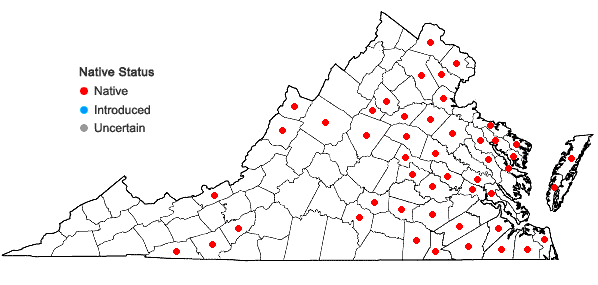 Locations ofToxicodendron vernix (L.) Kuntze in Virginia