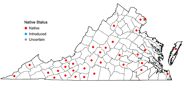 Locations ofTradescantia ohiensis Rafinesque in Virginia