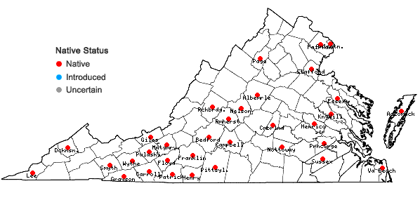 Locations ofTradescantia ohiensis Rafinesque in Virginia