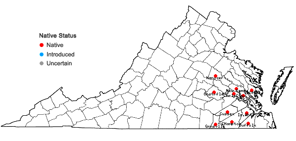 Locations ofTragia urens L. in Virginia