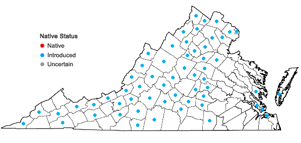Locations ofTragopogon dubius Scop. in Virginia