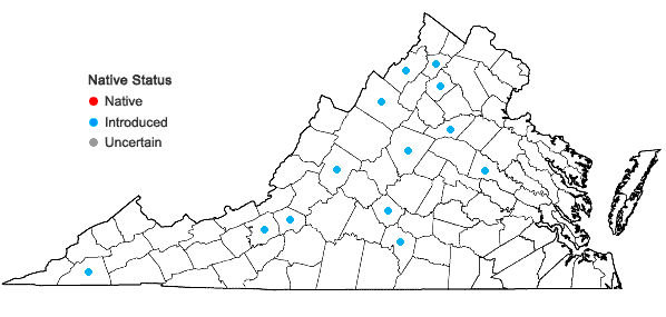 Locations ofTragopogon pratensis L. in Virginia