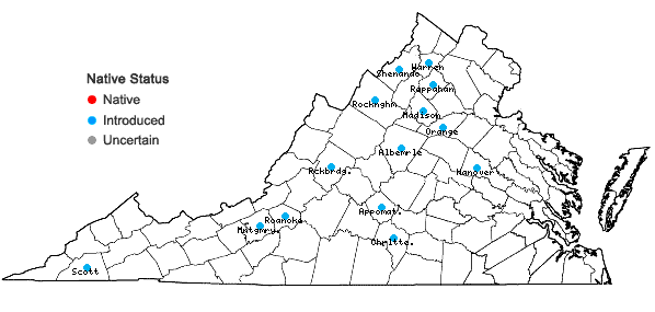 Locations ofTragopogon pratensis L. in Virginia