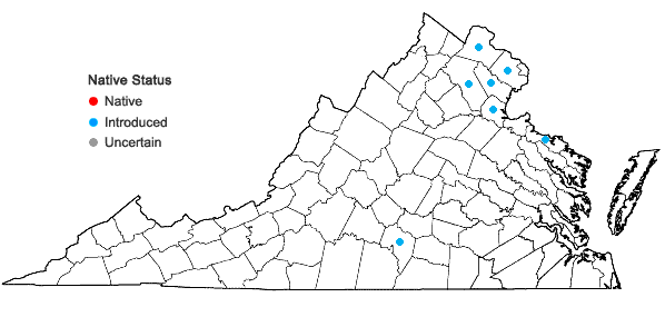 Locations ofTrapa bispinosa Roxb. var. iinumae Nakano in Virginia
