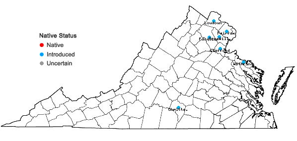 Locations ofTrapa bispinosa Roxb. in Virginia