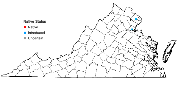 Locations ofTrapa natans L. in Virginia