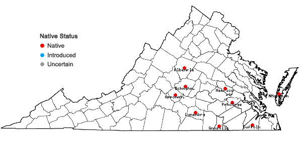 Locations ofTrematodon longicollis Michaux in Virginia